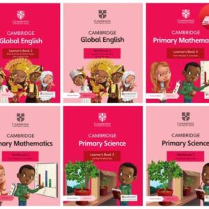 18. Primary mathematics and science