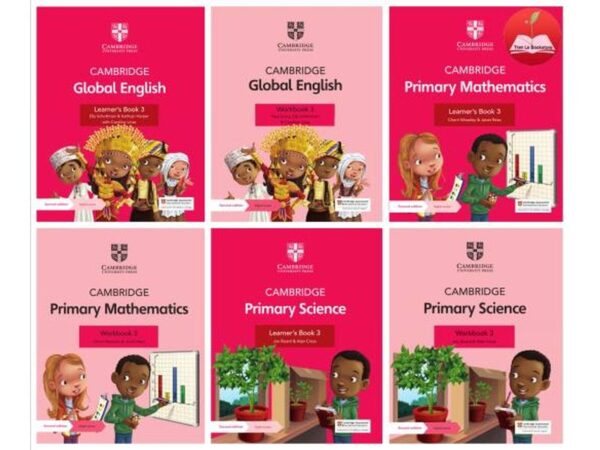 18. Primary mathematics and science