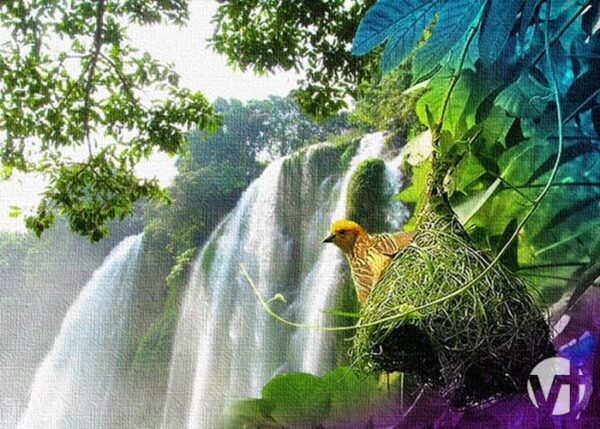 Sự bình yên